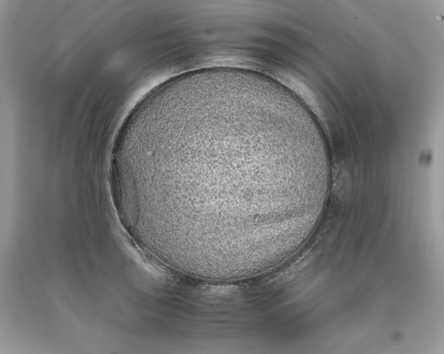 X0000093511043200710261153