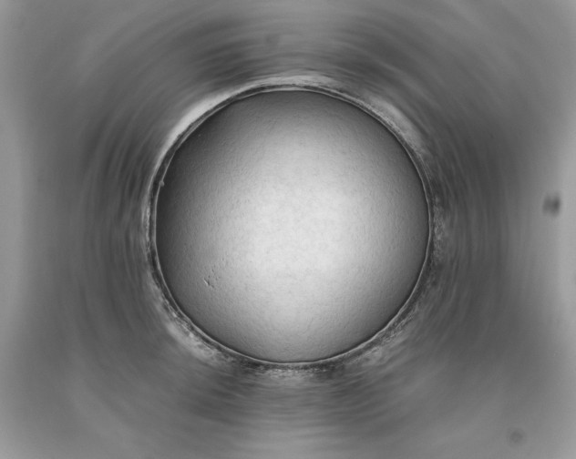 X0000093511044200710261153