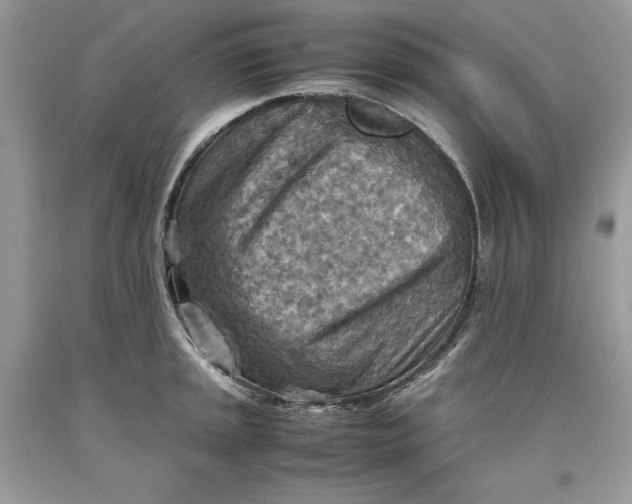 X0000093511045200710261153