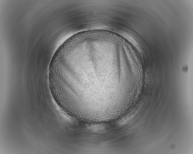 X0000093511047200710261153