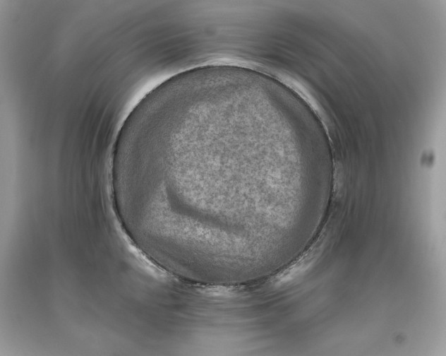 X0000093511048200710261153