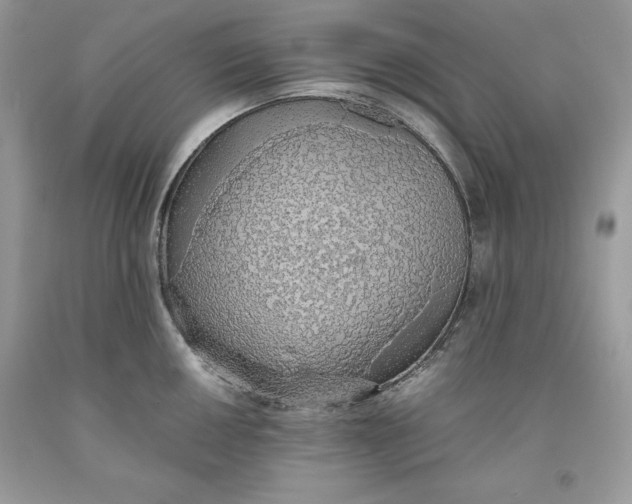 X0000093511050200710261153