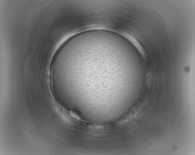 X0000093511051200710261153