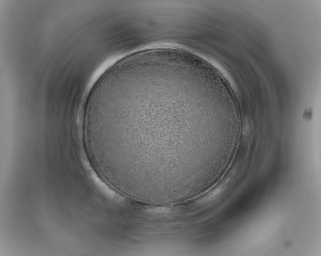 X0000093511054200710261153