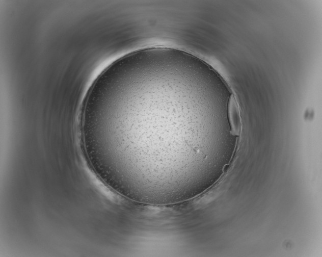 X0000093511056200710261153