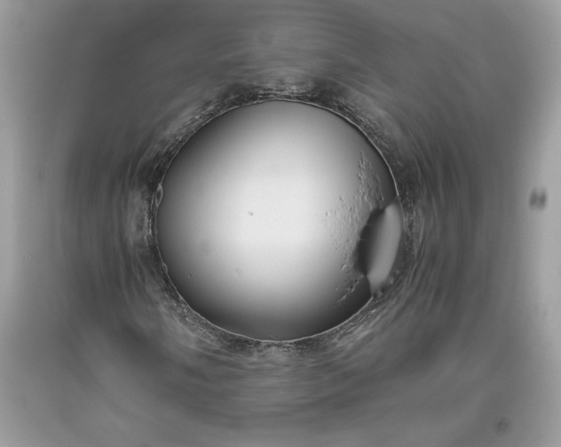 X0000093511058200710261152