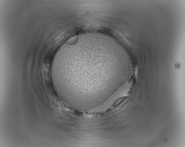 X0000093511059200710261152