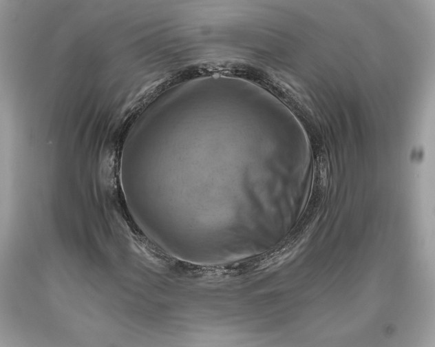 X0000093511060200710261152