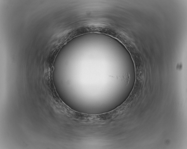 X0000093511061200710261152