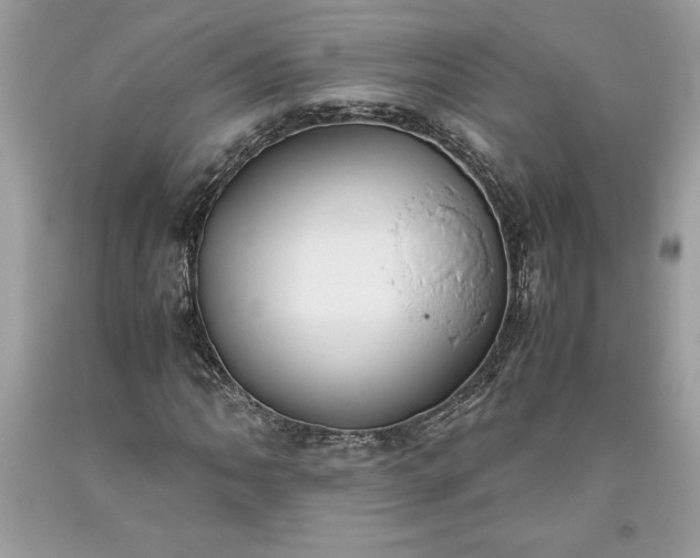 X0000093511062200710261152