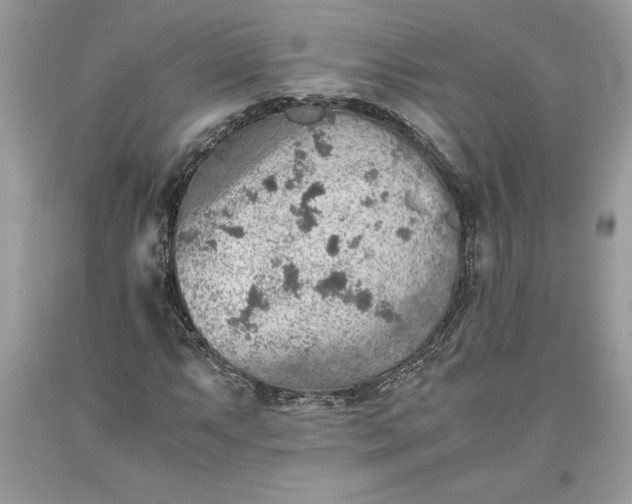 X0000093511063200710261152
