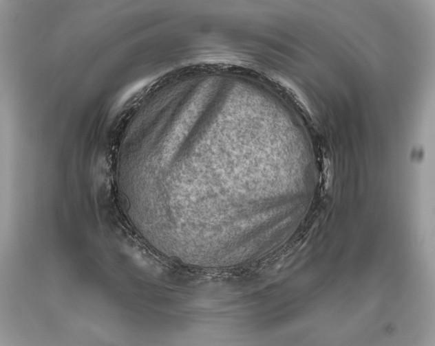 X0000093511064200710261152