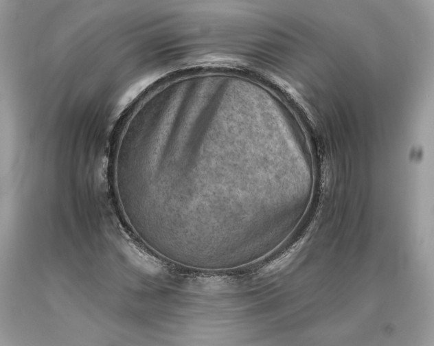 X0000093511066200710261152