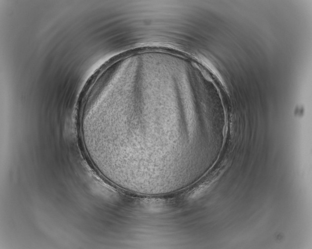 X0000093511068200710261152