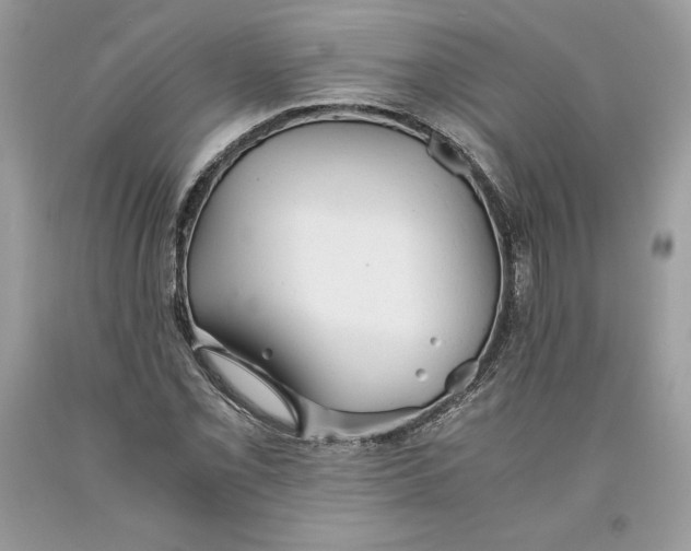 X0000093511069200710261152