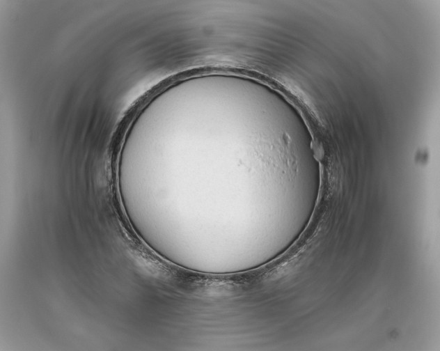 X0000093511070200710261152