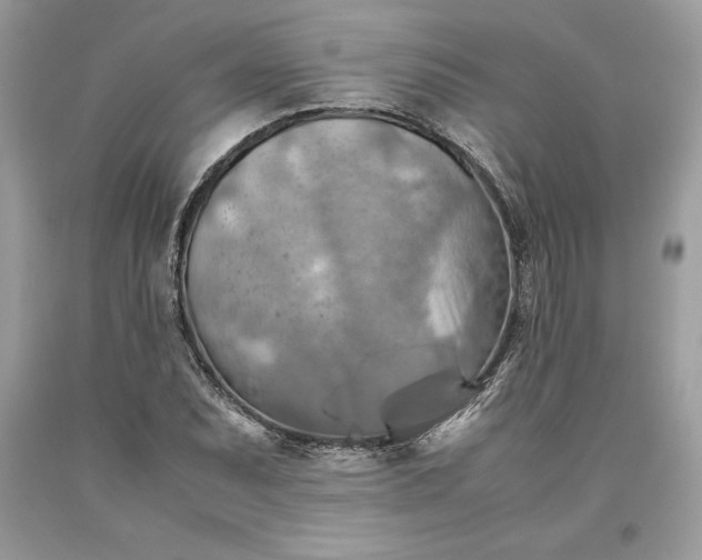 X0000093511071200710261152