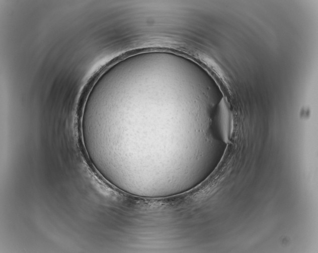 X0000093511072200710261152