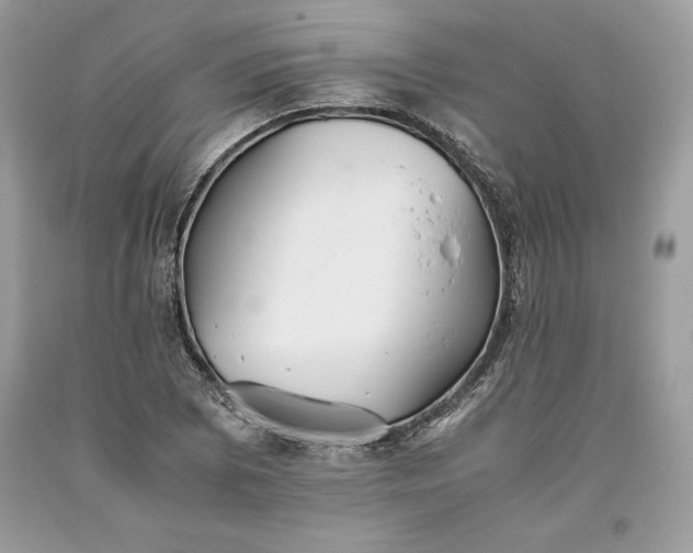X0000093511073200710261152