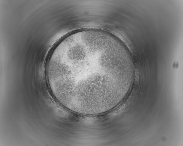 X0000093511074200710261152