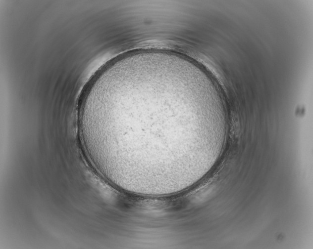 X0000093511075200710261152