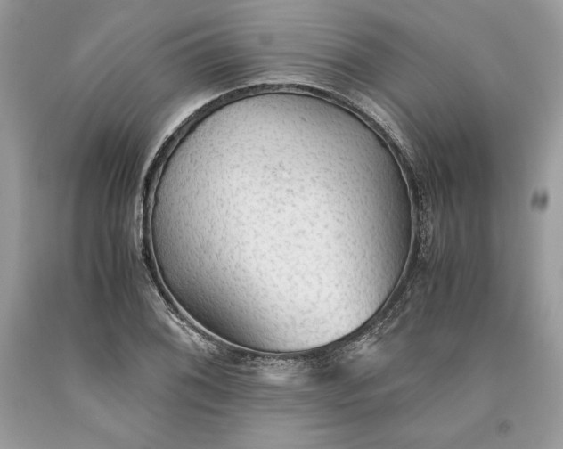 X0000093511076200710261152