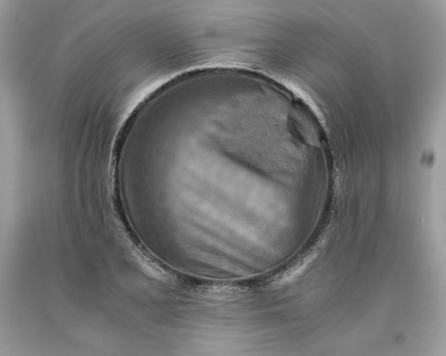 X0000093511077200710261152
