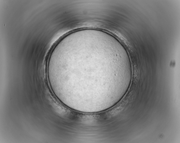 X0000093511078200710261152