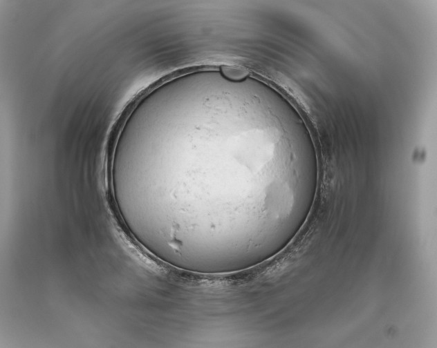 X0000093511080200710261152
