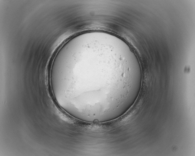 X0000093511082200710261152
