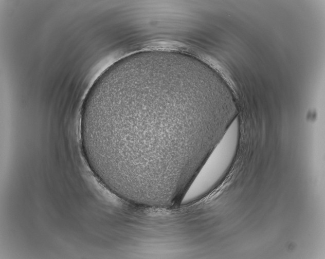 X0000093511083200710261152