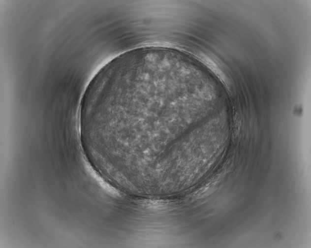 X0000093511084200710261152