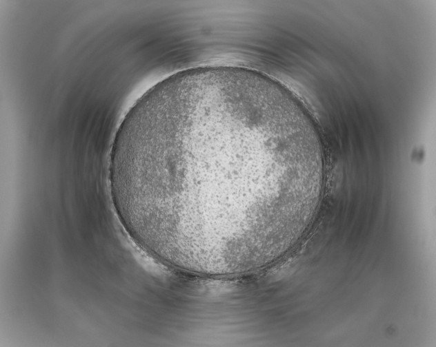 X0000093511086200710261152