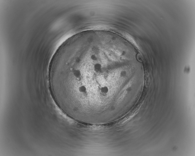 X0000093511087200710261152