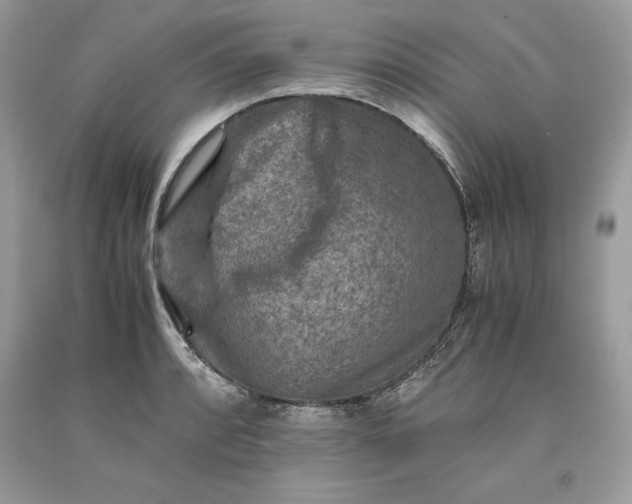 X0000093511088200710261152