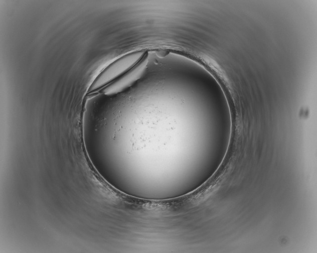 X0000093511089200710261152