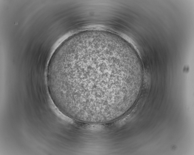 X0000093511090200710261152