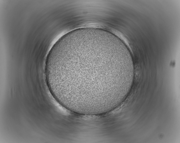 X0000093511091200710261152