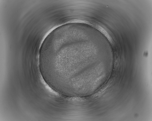 X0000093511092200710261152
