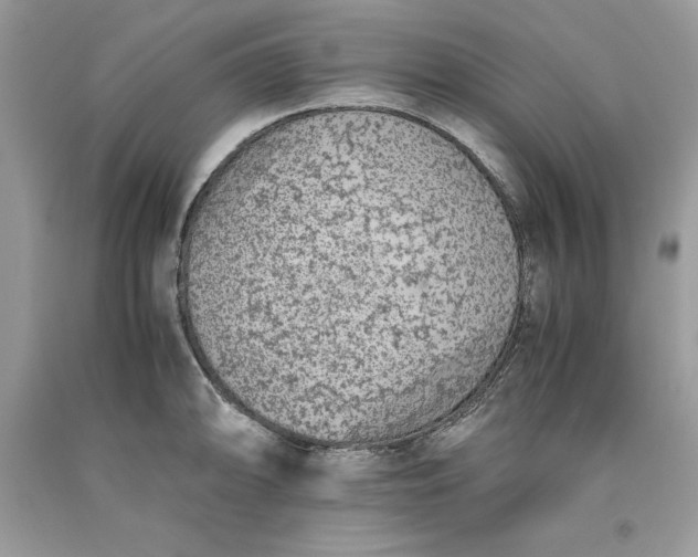 X0000093511094200710261152