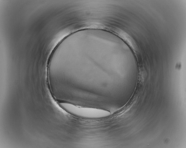 X0000093511095200710261152