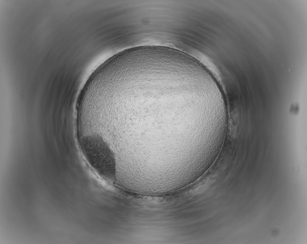 X0000093511096200710261152