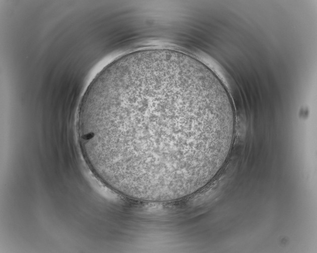 X0000093511098200710261152