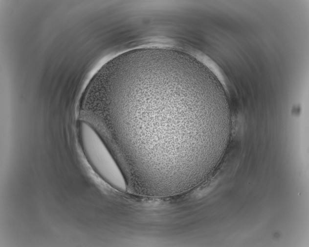 X0000093511099200710261152