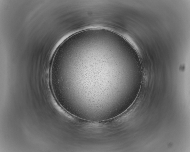 X0000093511100200710261152