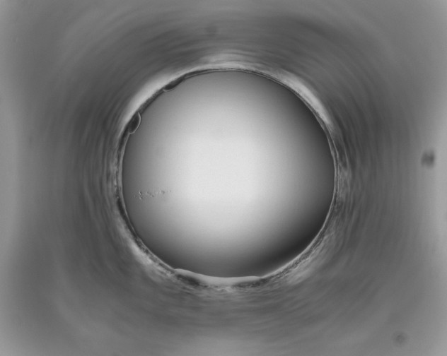 X0000093511101200710261152