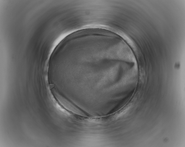 X0000093511102200710261152
