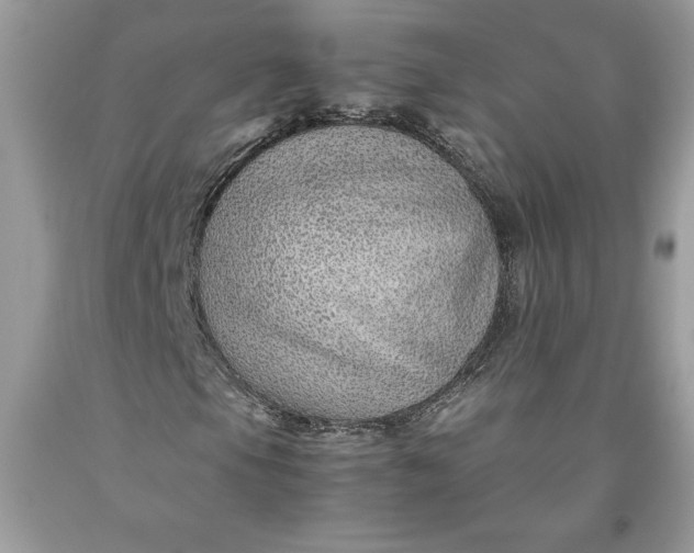 X0000093511105200710261151
