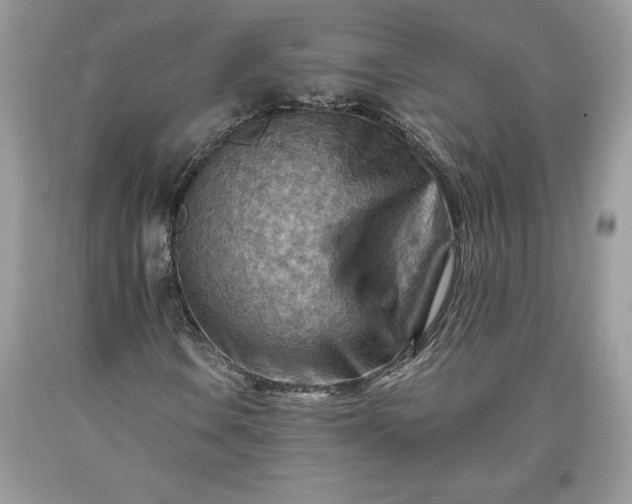 X0000093511106200710261151