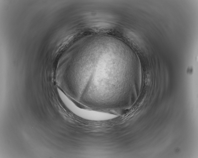 X0000093511108200710261151